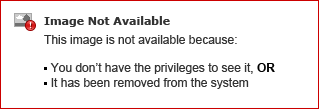 the-payout-report