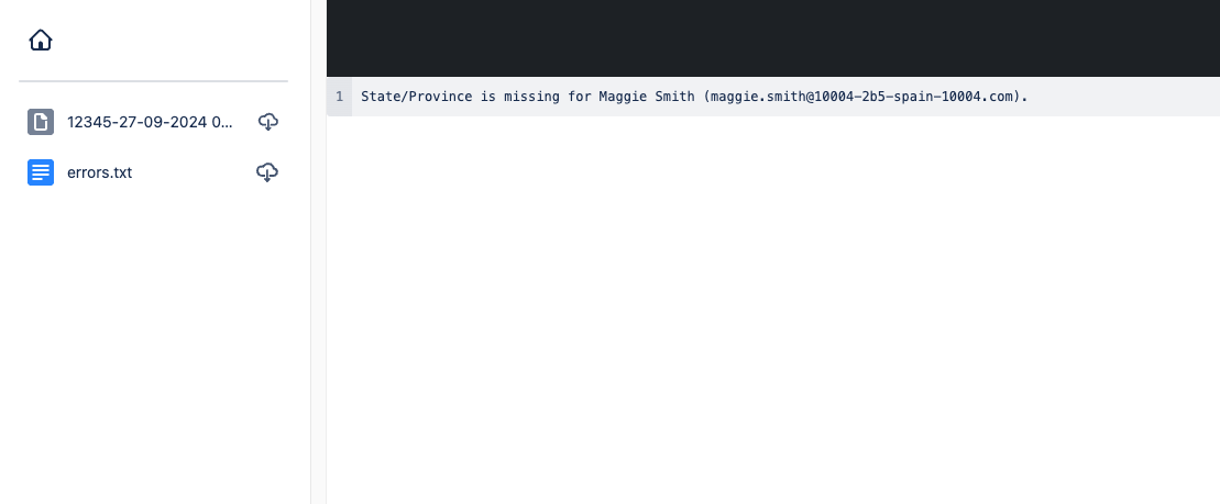 Error file example - customer profiles