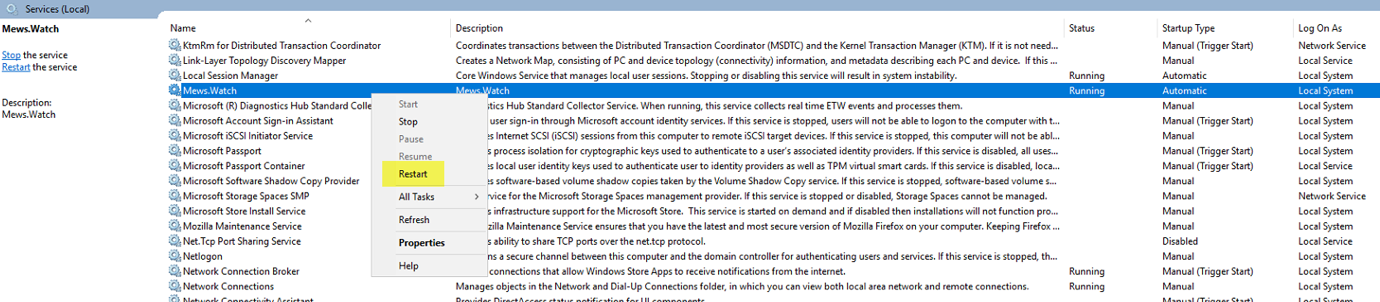 Windows Task Manager